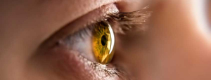 Eye Care